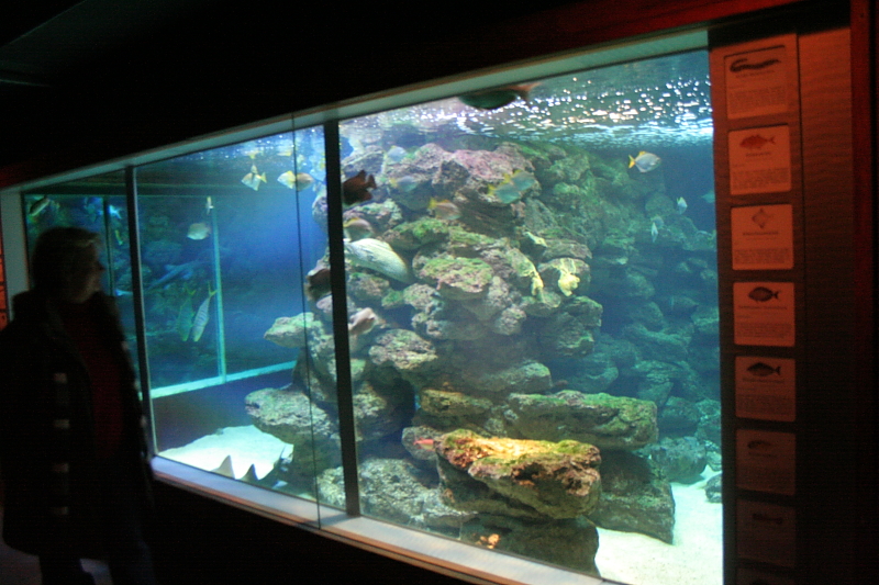 Killikus&reg; Fotographie